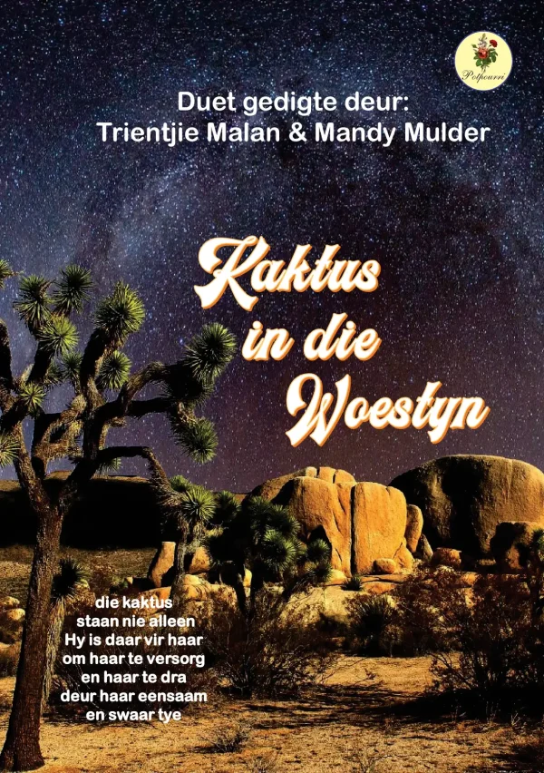 Kaktus in die woestyn